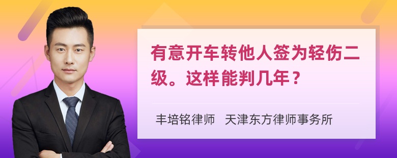 有意开车转他人签为轻伤二级。这样能判几年？