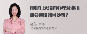 开业13天没有办理营业执照会应该如何处罚？