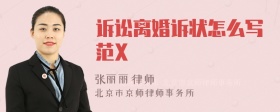 诉讼离婚诉状怎么写范X