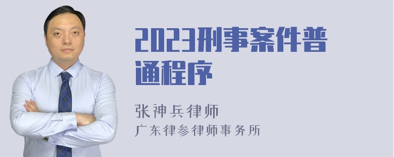 2023刑事案件普通程序