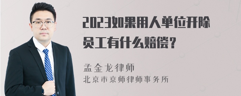 2023如果用人单位开除员工有什么赔偿？