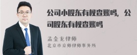 公司小股东有权查账吗，公司股东有权查账吗