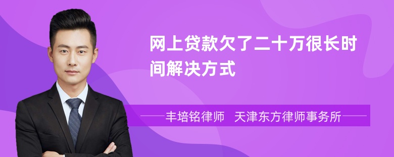 网上贷款欠了二十万很长时间解决方式