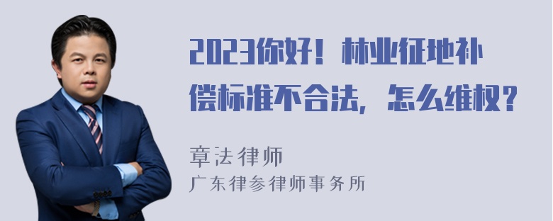 2023你好！林业征地补偿标准不合法，怎么维权？