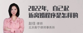 2022年，自己起诉离婚程序是怎样的