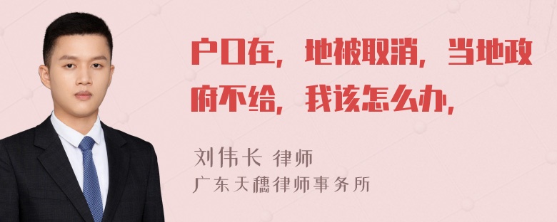 户口在，地被取消，当地政府不给，我该怎么办，