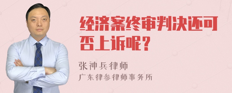 经济案终审判决还可否上诉呢？