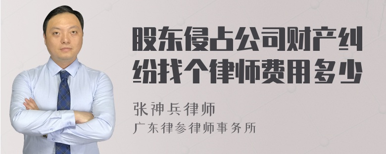 股东侵占公司财产纠纷找个律师费用多少