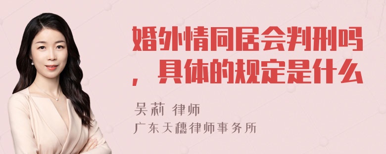 婚外情同居会判刑吗，具体的规定是什么