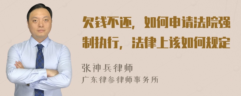 欠钱不还，如何申请法院强制执行，法律上该如何规定