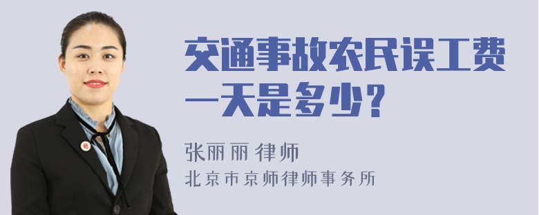 交通事故农民误工费一天是多少？