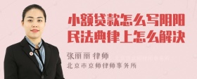 小额贷款怎么写阴阳民法典律上怎么解决