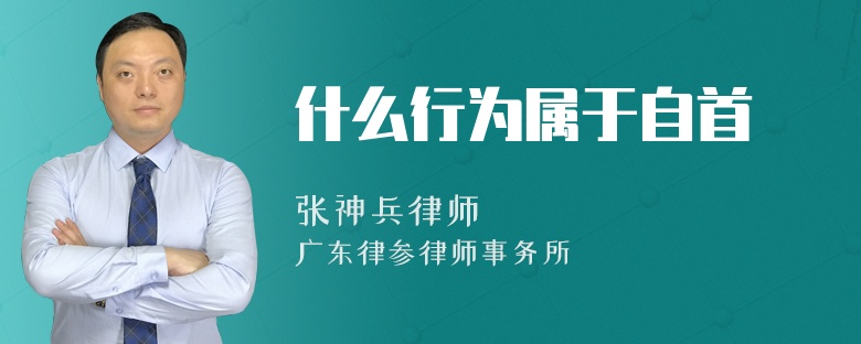 什么行为属于自首