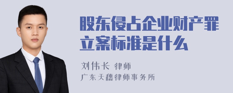 股东侵占企业财产罪立案标准是什么