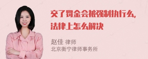 交了罚金会被强制执行么，法律上怎么解决