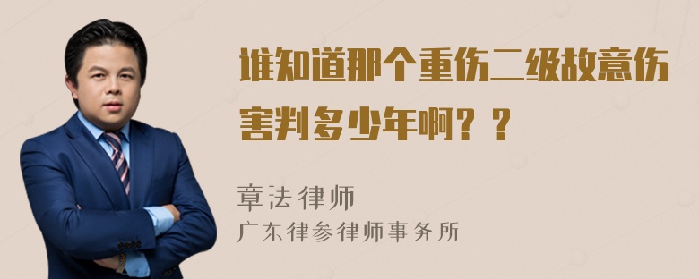 谁知道那个重伤二级故意伤害判多少年啊？？