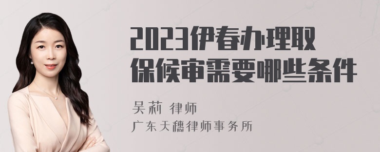 2023伊春办理取保候审需要哪些条件