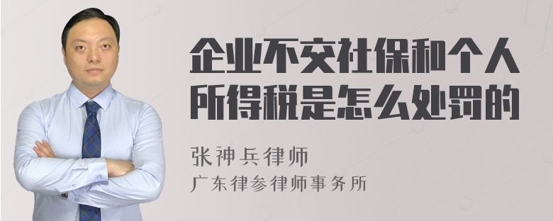 企业不交社保和个人所得税是怎么处罚的