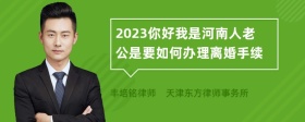 2023你好我是河南人老公是要如何办理离婚手续