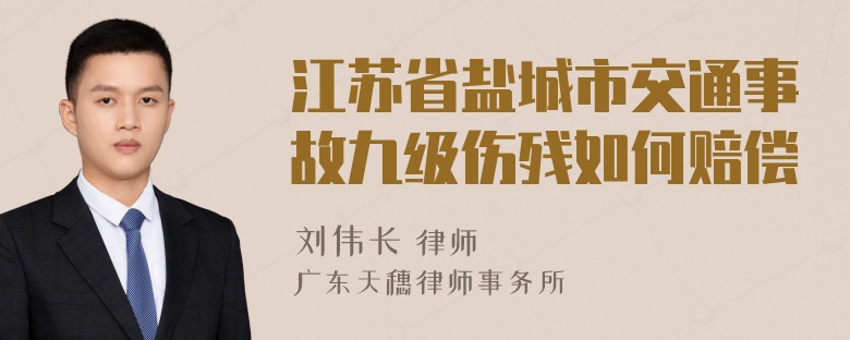 江苏省盐城市交通事故九级伤残如何赔偿