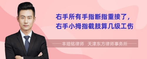右手所有手指断指重接了，右手小拇指截肢算几级工伤