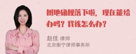树地确权落下啦，现在能给办吗？我该怎么办？