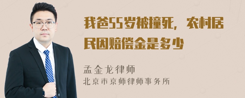 我爸55岁被撞死，农村居民因赔偿金是多少