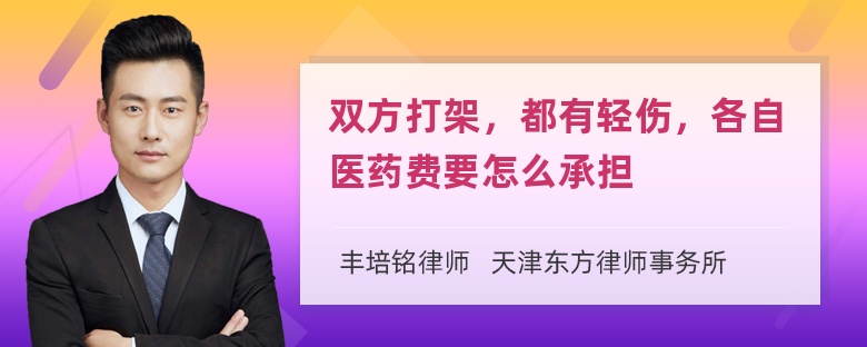 双方打架，都有轻伤，各自医药费要怎么承担