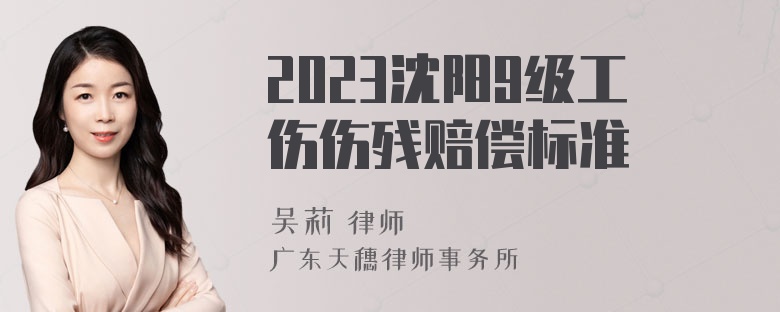 2023沈阳9级工伤伤残赔偿标准