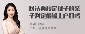 民法典规定母子的亲子判定能够上户口吗