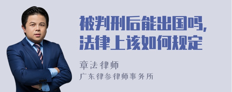 被判刑后能出国吗，法律上该如何规定