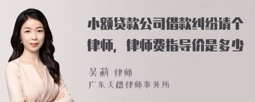 小额贷款公司借款纠纷请个律师，律师费指导价是多少