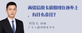 两张信用卡逾期现在还不上，有什么责任？