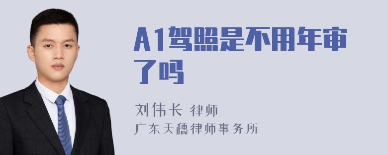 A1驾照是不用年审了吗