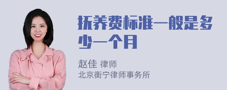 抚养费标准一般是多少一个月