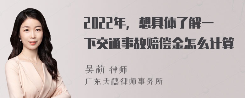 2022年，想具体了解一下交通事故赔偿金怎么计算