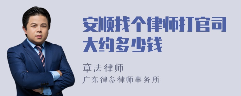 安顺找个律师打官司大约多少钱