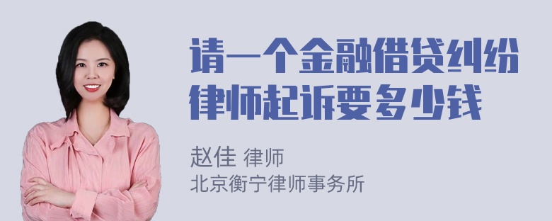 请一个金融借贷纠纷律师起诉要多少钱