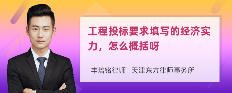 工程投标要求填写的经济实力，怎么概括呀