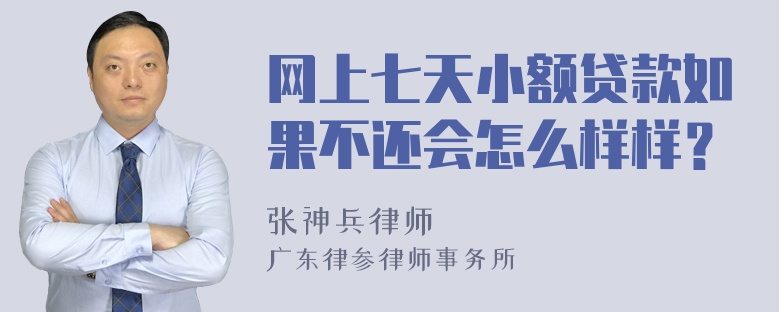 网上七天小额贷款如果不还会怎么样样？