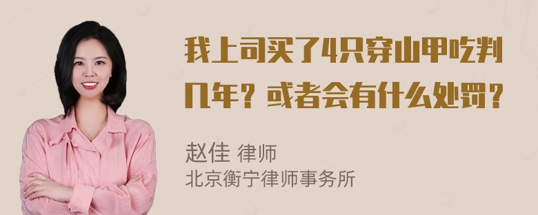 我上司买了4只穿山甲吃判几年？或者会有什么处罚？