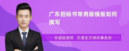 广东招标书常用版模板如何撰写