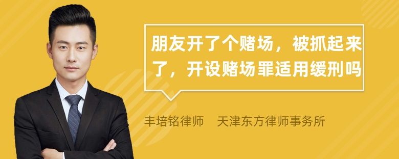 朋友开了个赌场，被抓起来了，开设赌场罪适用缓刑吗