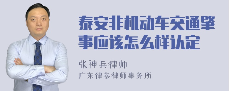 泰安非机动车交通肇事应该怎么样认定