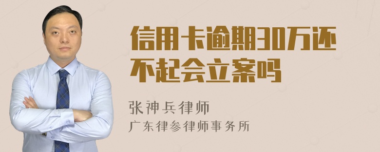 信用卡逾期30万还不起会立案吗