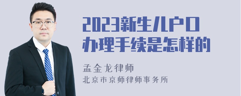 2023新生儿户口办理手续是怎样的