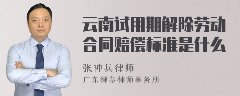 云南试用期解除劳动合同赔偿标准是什么