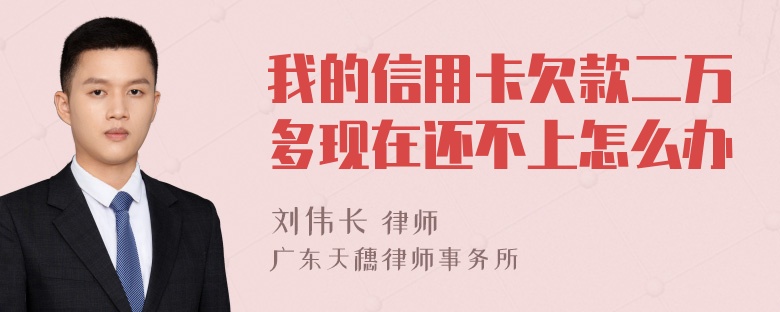 我的信用卡欠款二万多现在还不上怎么办