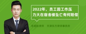 2022年，员工因工作压力大在宿舍楼坠亡有何赔偿