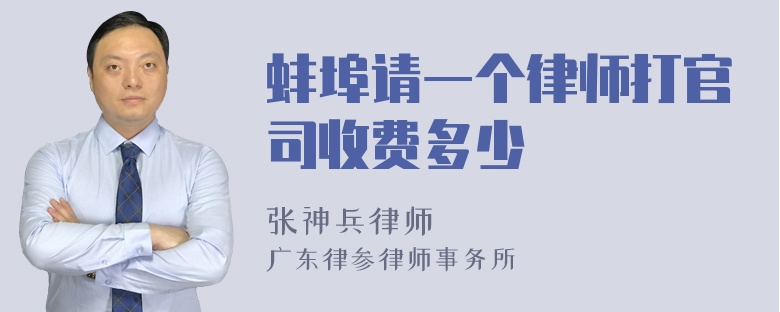 蚌埠请一个律师打官司收费多少